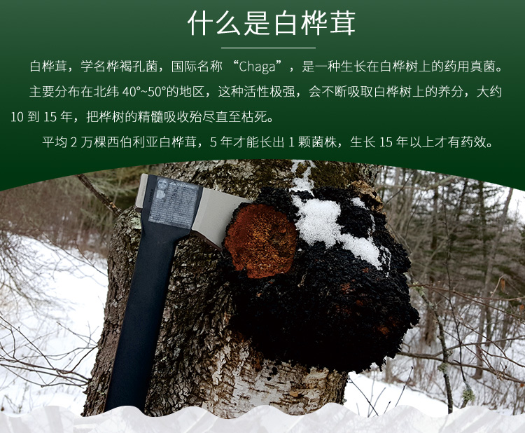 桦芝道大_01.jpg