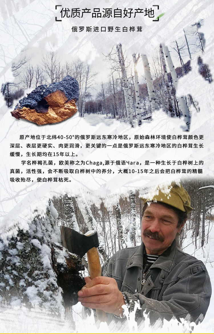 桦芝道大_02.jpg