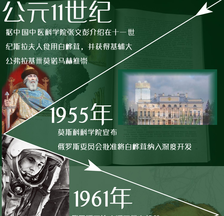 桦芝道大_04.jpg
