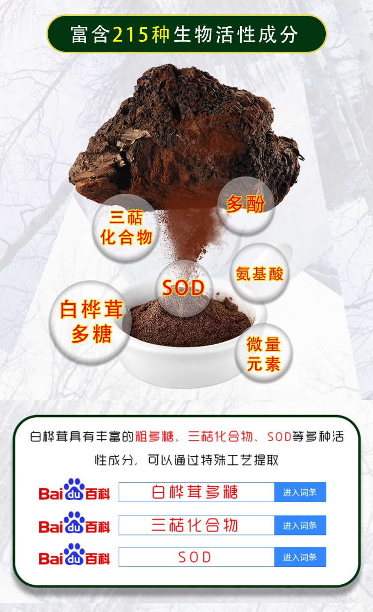 桦芝道大_08.jpg