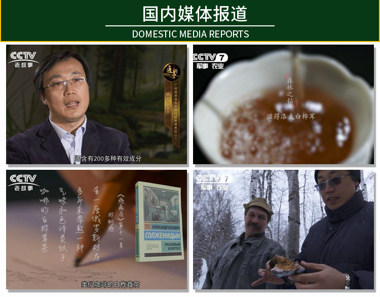桦芝道大_13.jpg