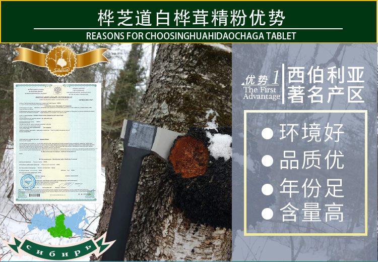桦芝道大_14.jpg