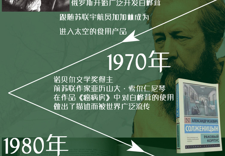 桦芝道_05.jpg