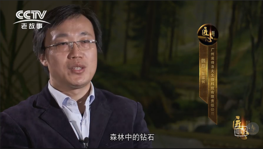 传统药材与现代科技的完美结合： 白桦茸特殊膳食食品开启健康新篇章！