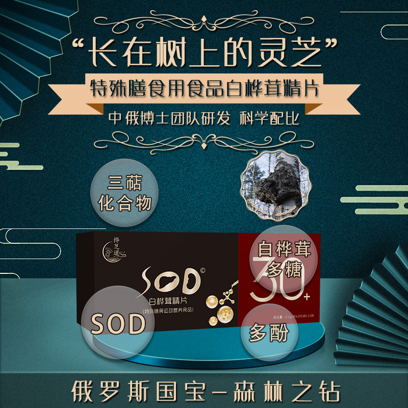 白桦茸精片 礼品装