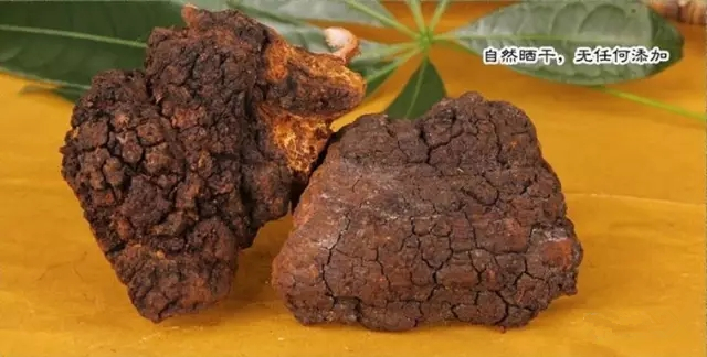 桦树茸的作用和功效及可能的副作用有哪些？