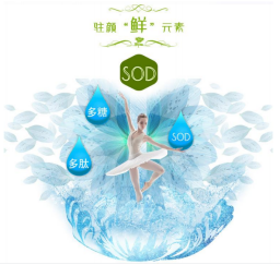 白桦茸：自然界的抗氧化明星